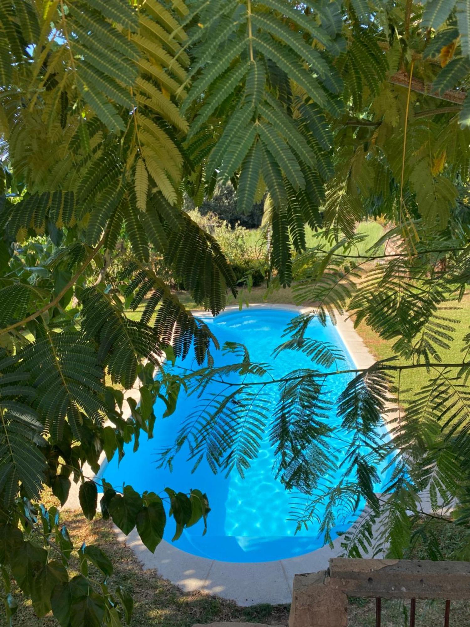 Higueras Y Olivos Villa Candeleda Luaran gambar
